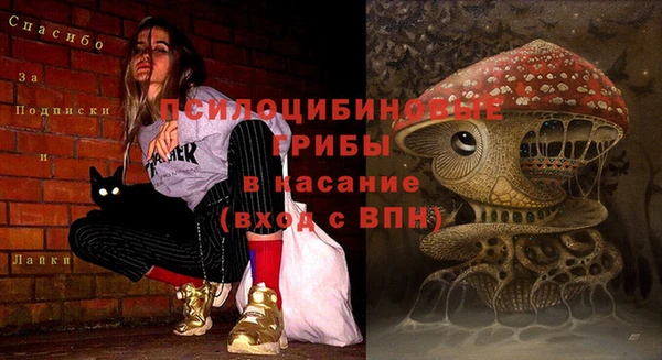 кокаин перу Белокуриха