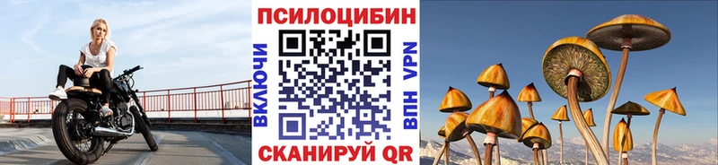 Галлюциногенные грибы MAGIC MUSHROOMS  цены   Полесск 